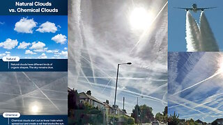 Chemtrails. Cielo Toxico. Soy un insecto