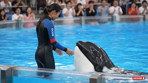 Jessica is no more 💔 killed by dolphin attack 😔