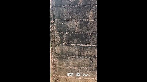 Meaningless walk