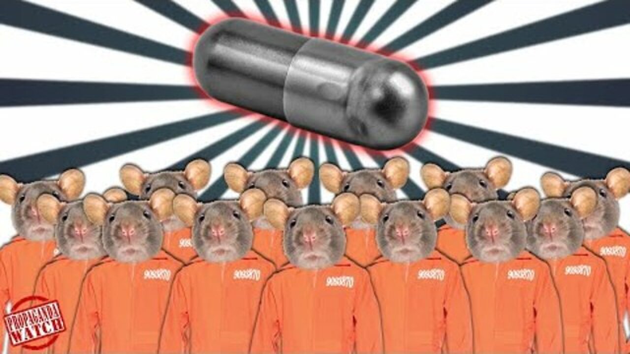Mouse Utopia and The Blackest Pill (Corbett Report)