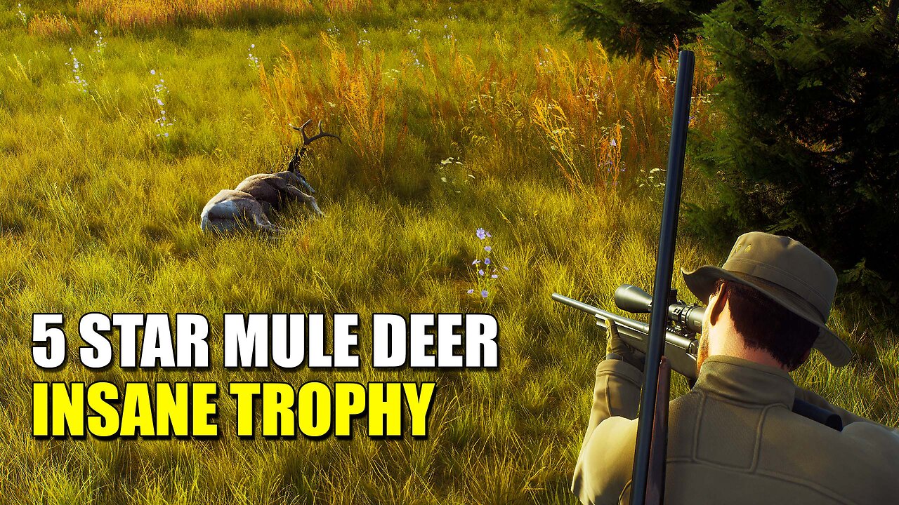 5 Star Mule Deer Hunt Way of the Hunter Perfect Trophy!