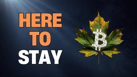 Bad news for the bears: Bitcoin is not going away