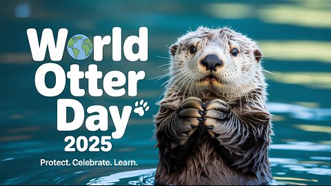 🌍 World Otter Day 2025 🦦 | Why Otters Matter & How We Can Protect Them