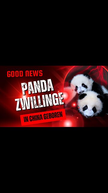 Panda Zwillinge in China geboren#PandaZwillinge, #Naturschutz, #Tierrechtung, #Umweltschutz,
