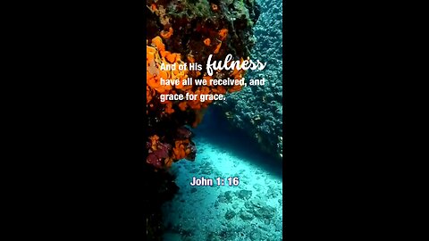 John 1: 16