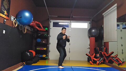 WTD 2 Step Kick Combination 114