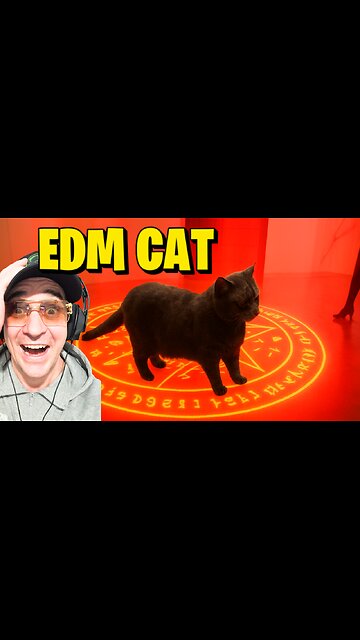 The EDM Cat in Twisted Gallery