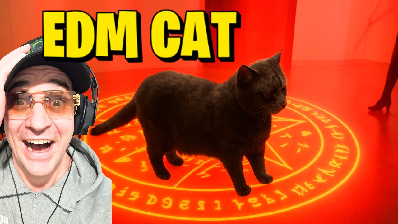The EDM Cat in Twisted Gallery