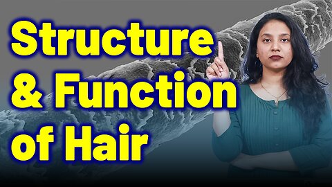 Structure & Function of Hair Fall .| Treatment and Cure | Homeopathy, Medicine & Surgery