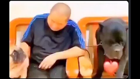 Let me at him! Don't hold me back, I will tear him apart. He is an good as dead!😳😆😆