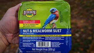 Chickens like nuts and meal worms. How about in a combo?