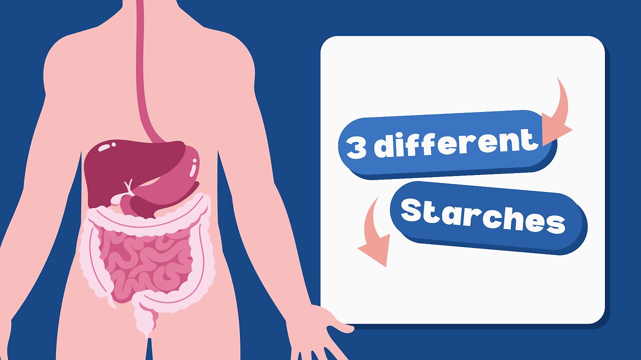 Different Resistant Starches