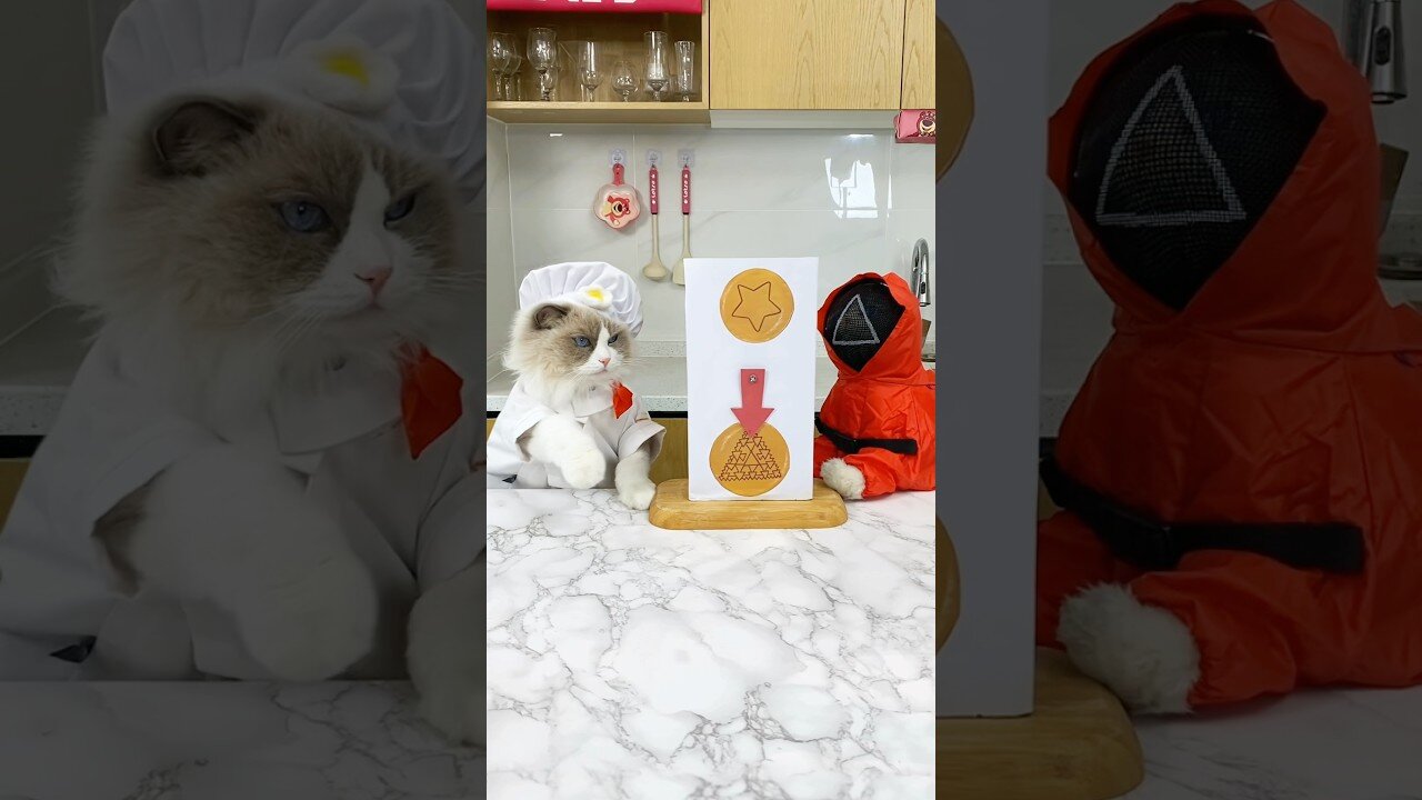 Round Two! Will He Make It? | Squid Game Play Cat | Funny Video