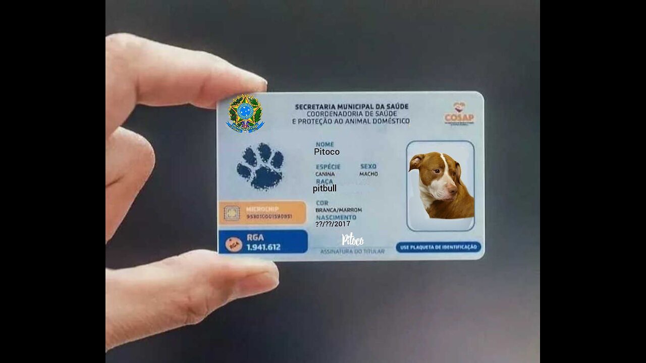 RG para pets, o novo programa do PT.