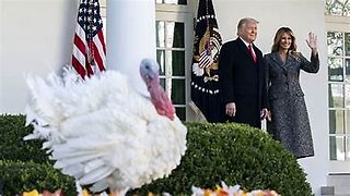 LIVE: Trump hosts the White House turkey pardon ceremony