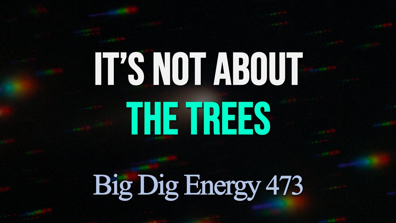 Big Dig Energy 473: It's Not About the Trees