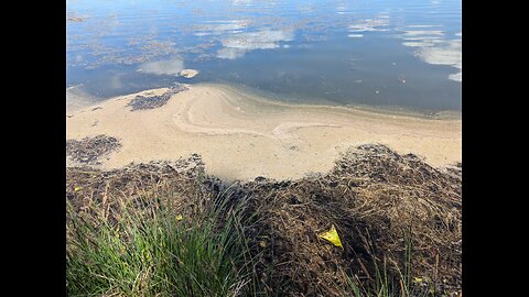 29.04.2025 Umweltskandale - Verseuchter See Bad Bayersoien - Teil 1