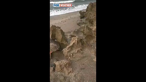 300_Pound turtle 🐢 freed after getting stuck