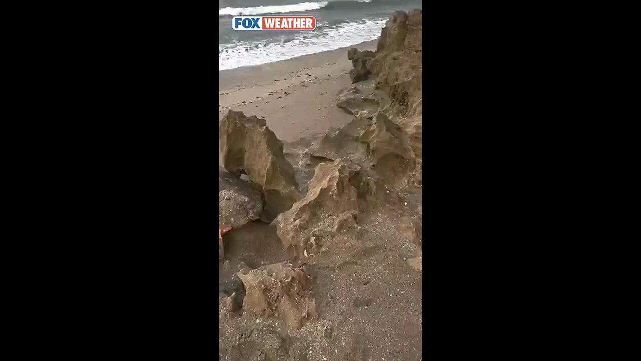 300_Pound turtle 🐢 freed after getting stuck