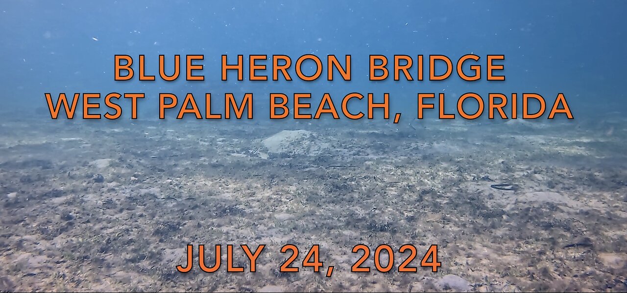SCUBA Diving The Blue Heron Bridge