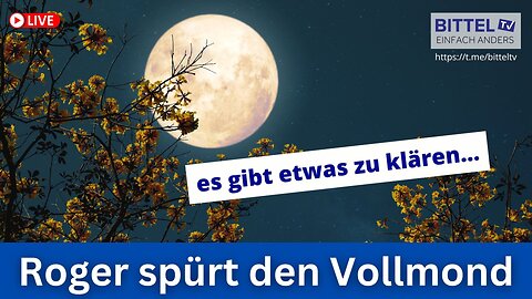 Roger spürt den Vollmond - es gibt etwas zu klären... - 10.07.2025