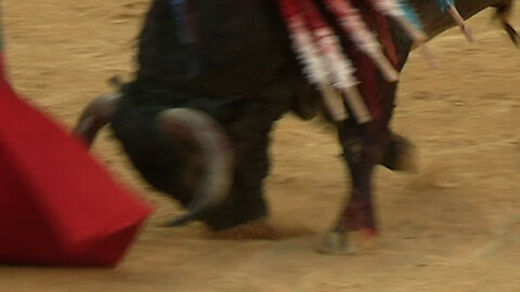 2025 06 28 ALICANTE CORRIDA VICTORINO MARTÍN