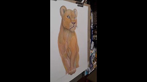 a speed drawing backwards of a lioness