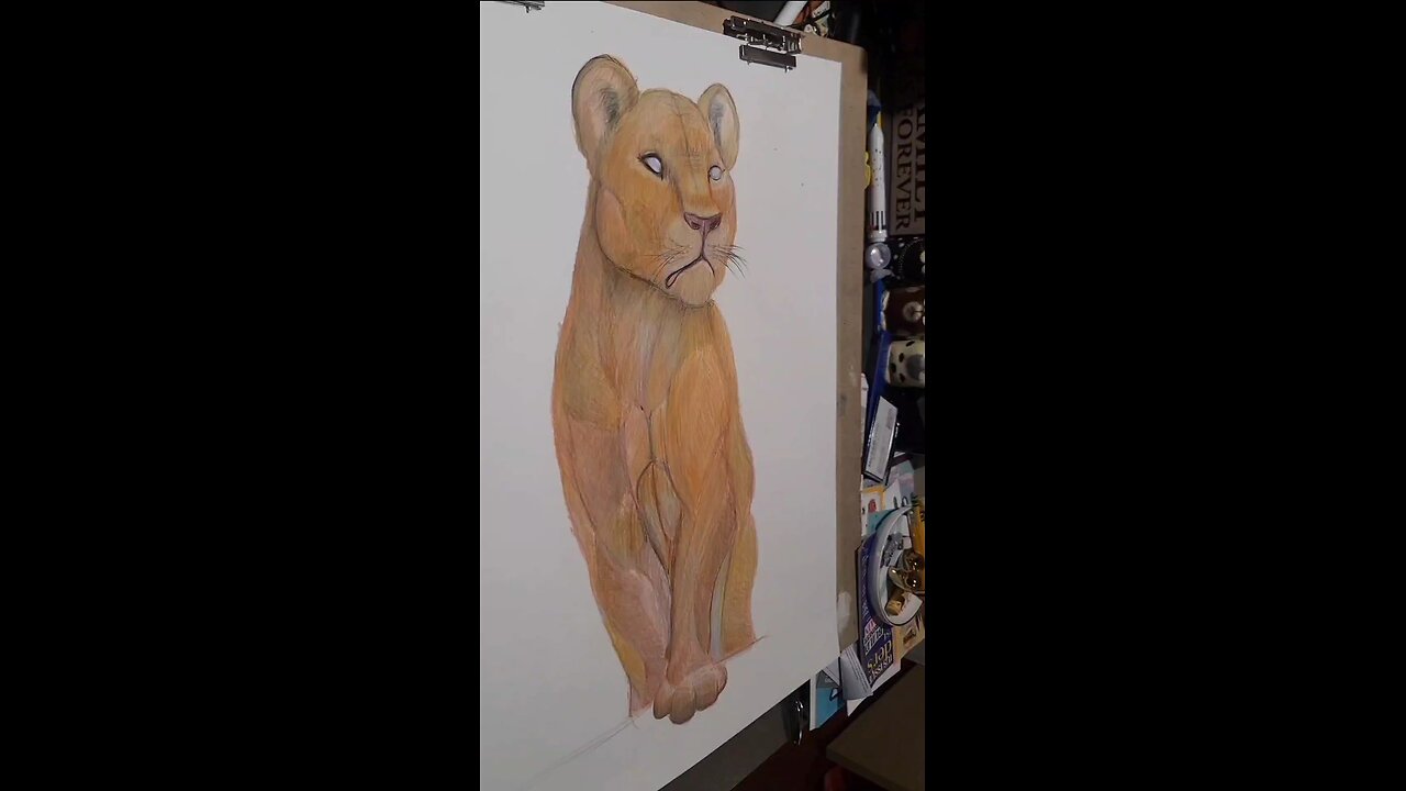 a speed drawing backwards of a lioness
