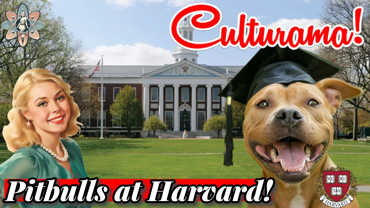 Pitbulls At Harvard!