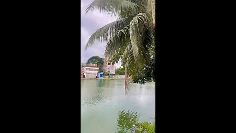 🌸🌸🌸 #Brahmanbaria #reelschallenge #vairalvideo #facebookviral #Bangladesh #faysalesmeearfat