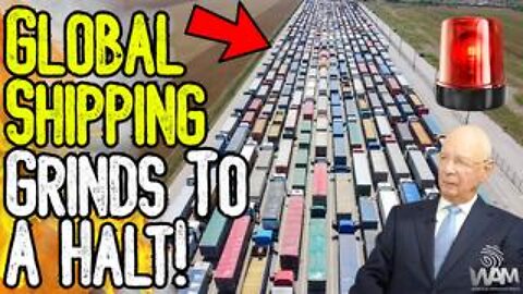 GLOBAL SHIPPING GRINDS TO HALT! - Net Zero Meat Bans & Panic Buying Imminent!