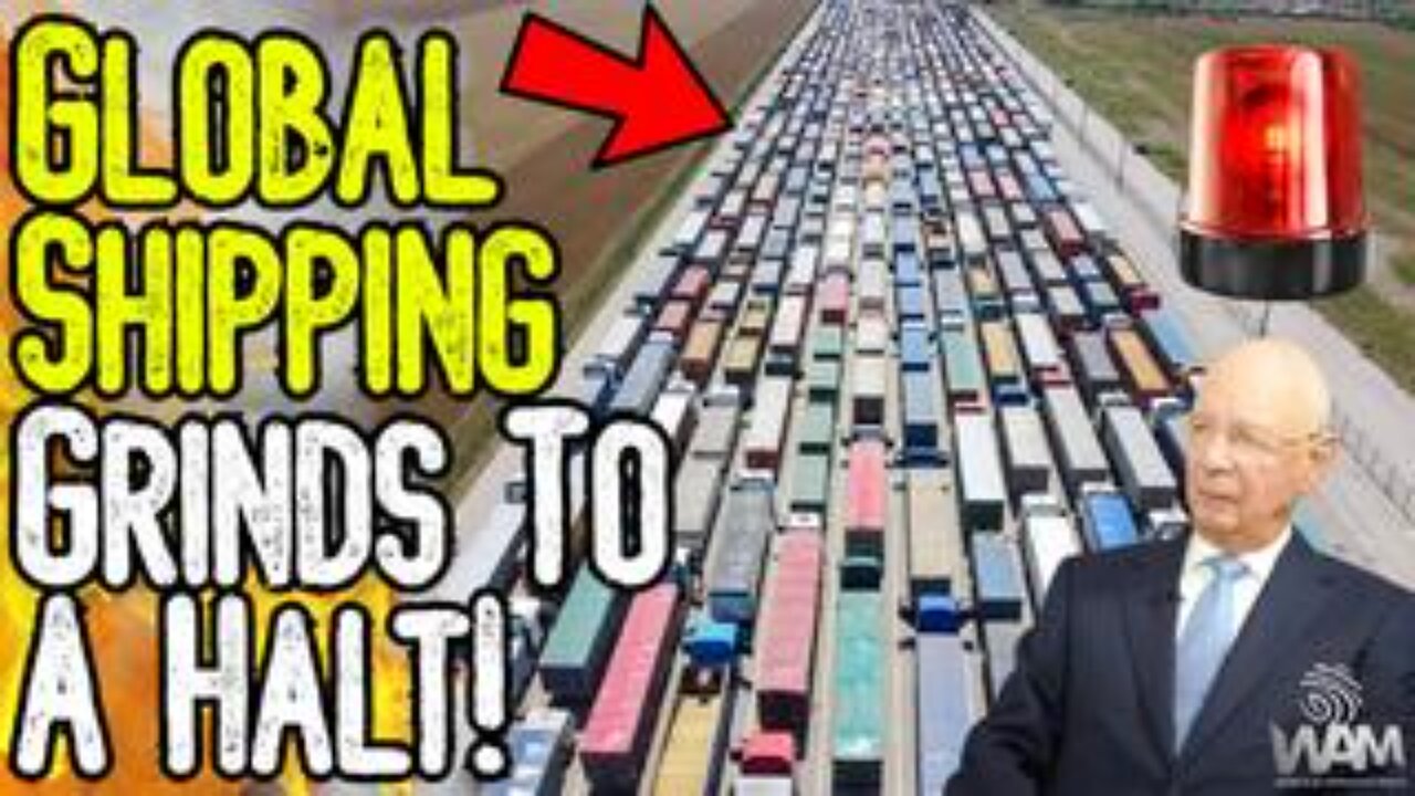 GLOBAL SHIPPING GRINDS TO HALT! - Net Zero Meat Bans & Panic Buying Imminent!