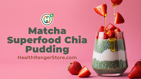 Matcha Superfood Chia Pudding