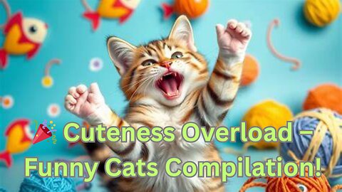 "These Playful Cats Will Steal Your Heart!"