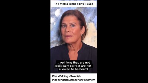 Elsa Widding - The media is not doing its job