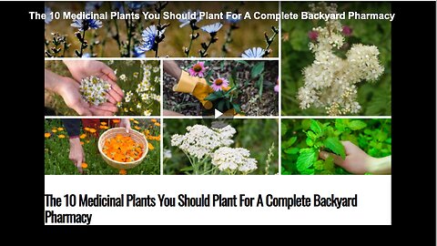 "Complete Backyard Pharmacy: 10 Medicinal Plants You Should Plant"