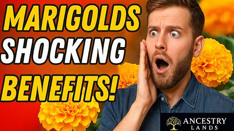 The Secret Power of Marigolds in Your Garden!