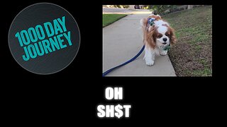 1000 Day Journey 0837 Oh Sh$t