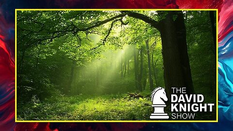 "Debunking Myths: Did Plants and Trees Really Absorb No CO2 Last Year?"