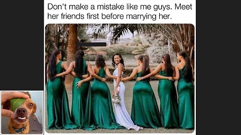 Memes That Will 99.0311% Make You Laugh. (e535)