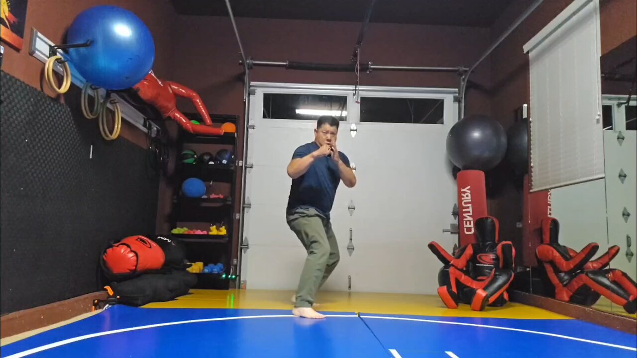 WTD 2 Step Kick Combination 142