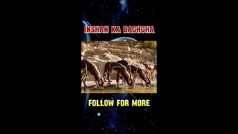 Inshan Ka bachcha😱👌❤️ #movie #movieclips #viral #trending #moviescene