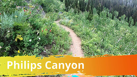 Philips Canyon Trail, Teton Pass, Wyoming
