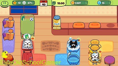 My Virtual Pet Shop - Level 36 to Level 40 - May 2025