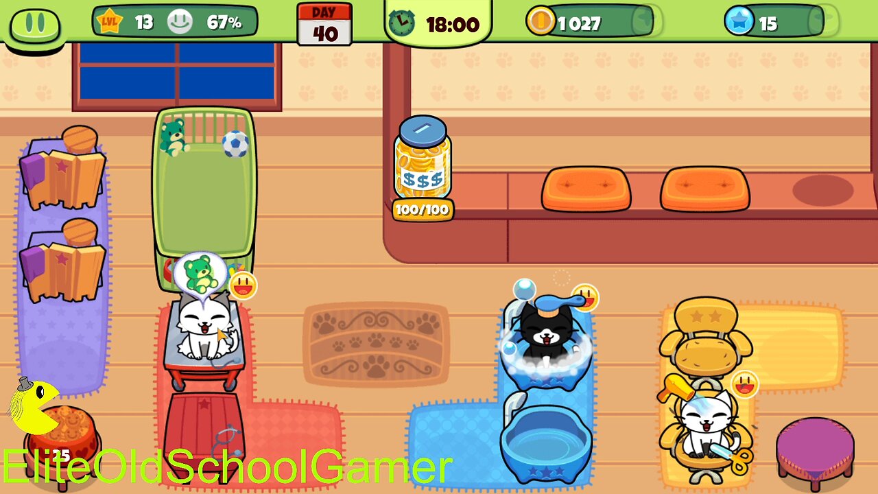 My Virtual Pet Shop - Level 36 to Level 40 - May 2025