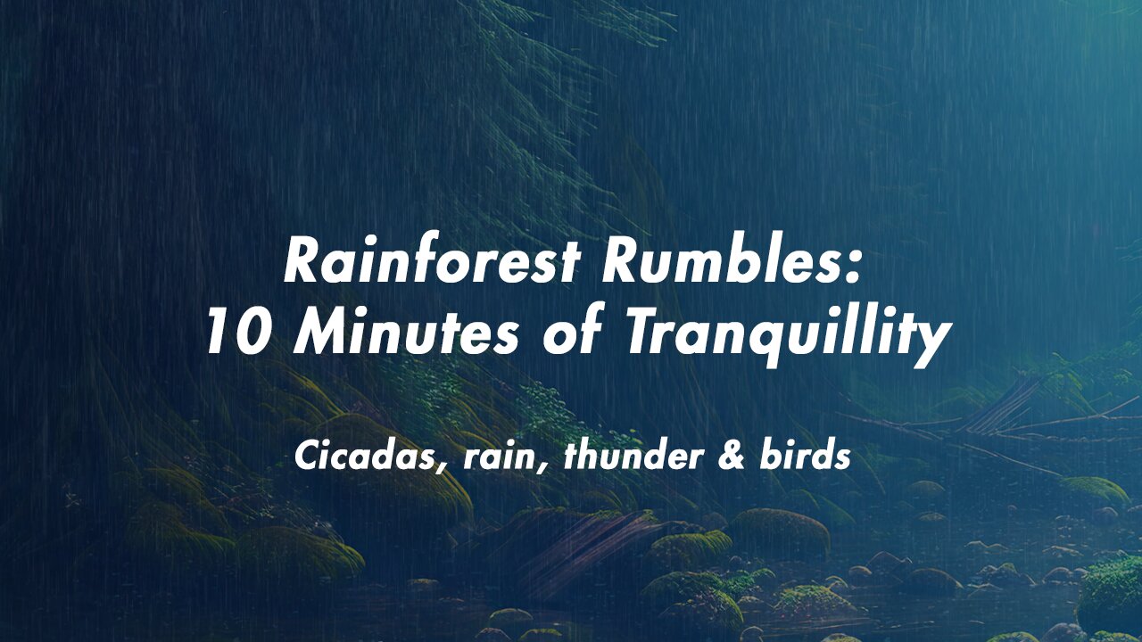 Rainforest Rumbles: 10 Minutes of Tranquillity