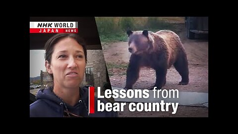 Montana shows how Japan could solve its bear crisis-NHK WORLD-JAPAN NEWS