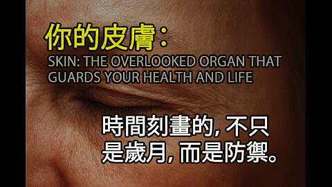 皮膚：被你忽略的最大器官，卻決定你的健康與生命防線｜Skin: The Overlooked Organ That Guards Your Health and Life