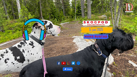 Skogpod 5. juni 2025