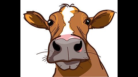 "When the Cow Became the Hero for Grandma"